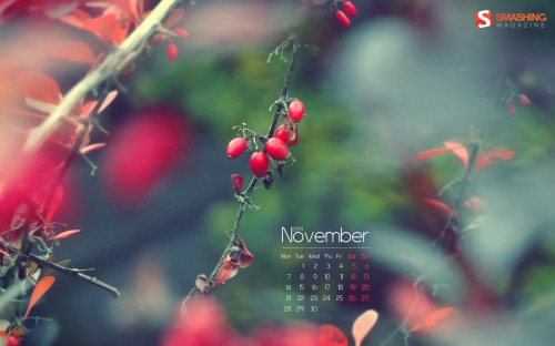 Smashing Wallpaper - november 11