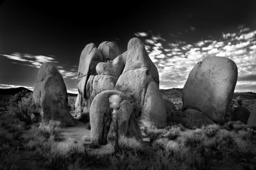 Fotografía en blanco y negro