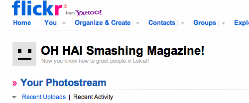 Flickr says hi to its users.