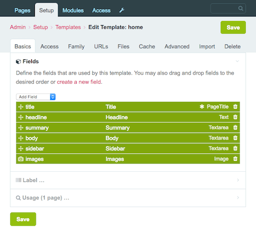 Screenshot of the template settings